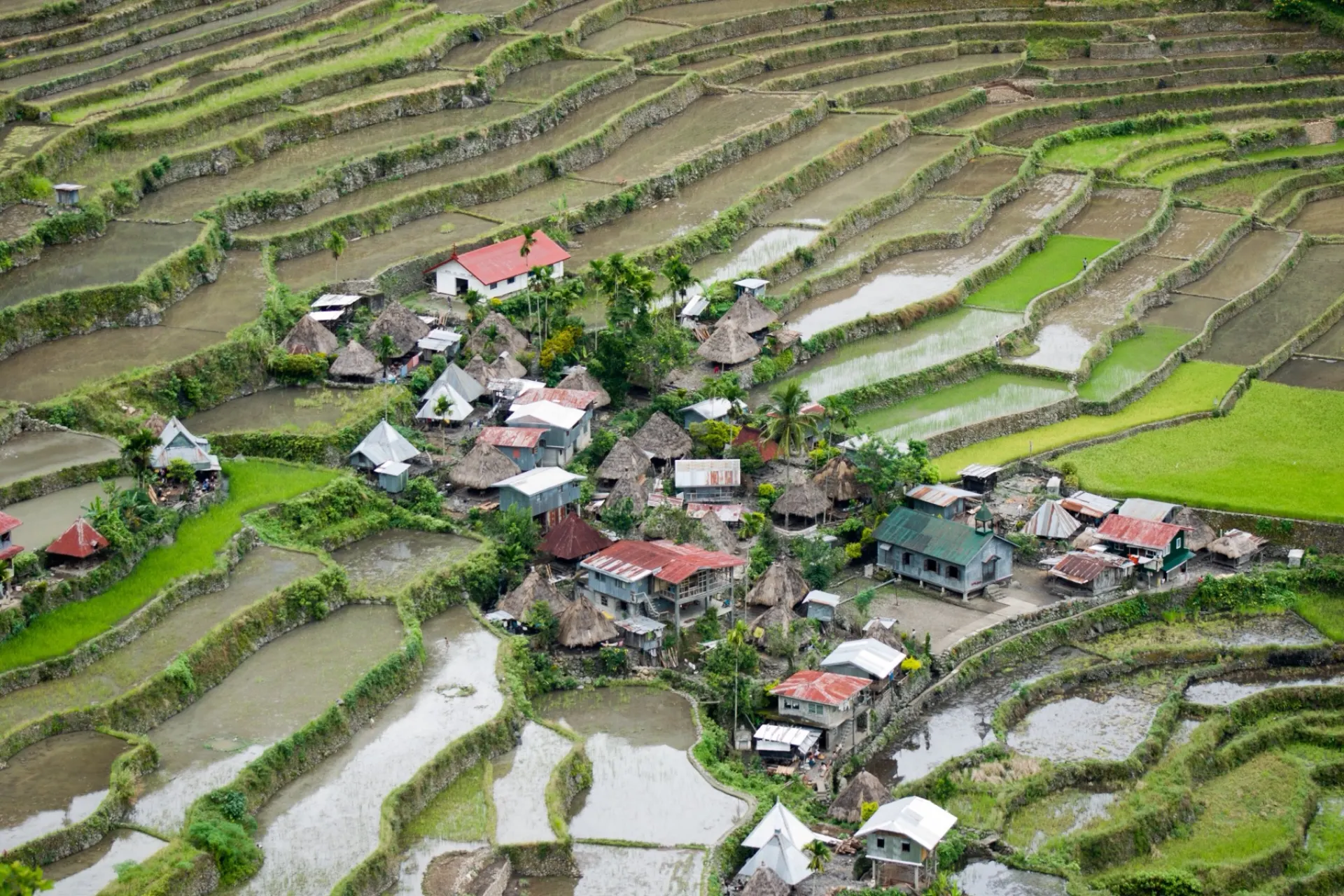The Batad rice terraces in Ifugao, with the village at their centre